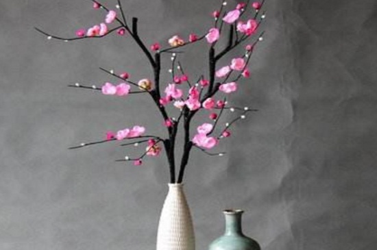 干支花买回来如何养