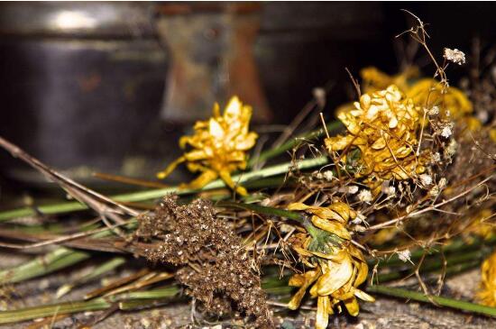 家里为何不能放干花，风水不好还会让空气干燥