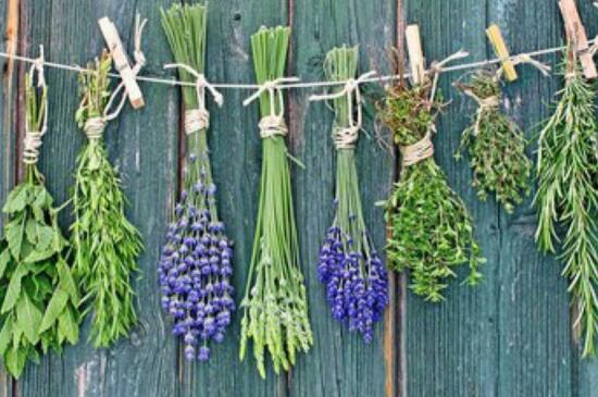 家里为何不能放干花，风水不好还会让空气干燥