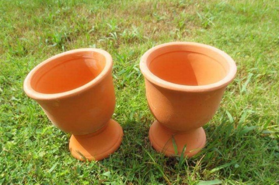 紫莲如何养，红陶盆栽种老叶修剪