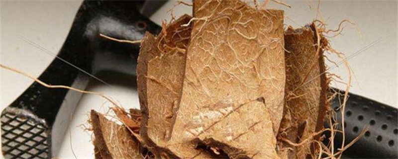 如何使用椰壳粒种花