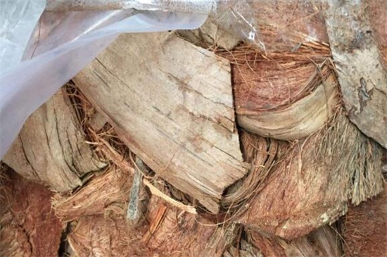 如何使用椰壳粒种花