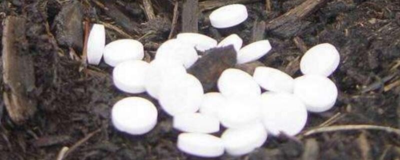 阿司匹林如何养花