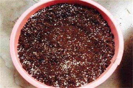 珍珠岩养花留意事项,混搭其它土壤量不宜多