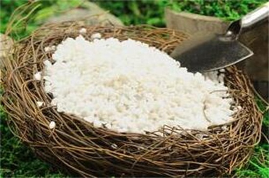 珍珠岩养花留意事项,混搭其它土壤量不宜多