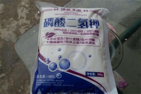 磷酸二氢钾使用办法，四种办法让你的盆栽爆盆