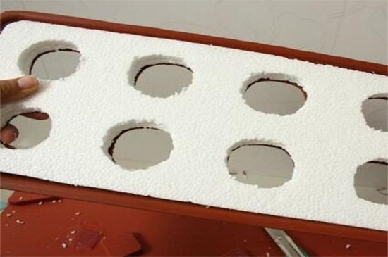 饮料瓶水培蔬菜办法