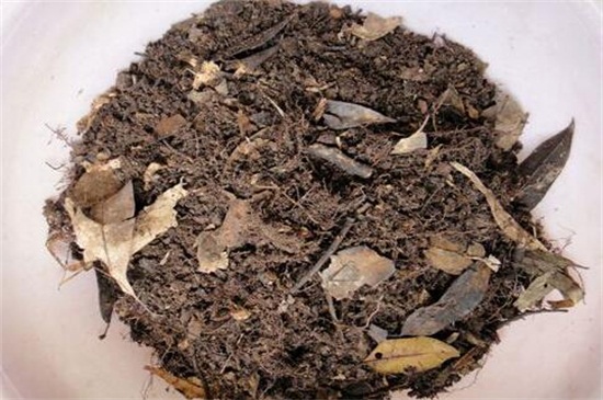 最简单的花土如何配，最常用的5种花土及配制办法