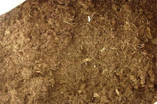 最简单的花土如何配，最常用的5种花土及配制办法