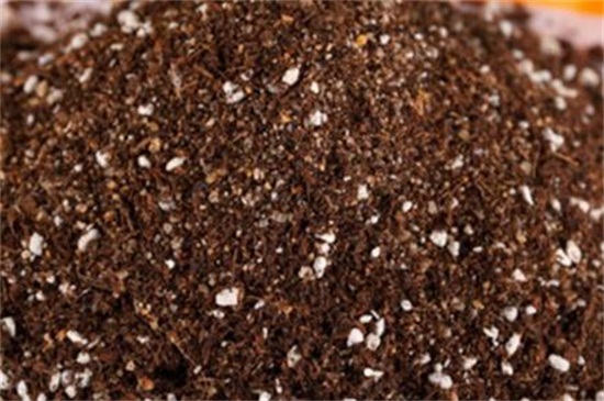 最简单的花土如何配，最常用的5种花土及配制办法