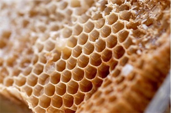 具体了解2018养蜂新政策，5个要点加强扶植养蜂行业