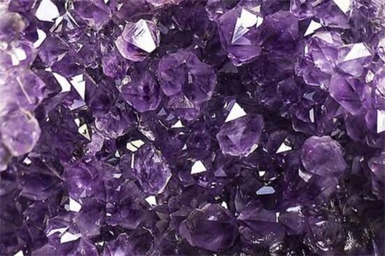 紫色分为哪几种紫,10种紫色花朵教你分辨深浅紫色