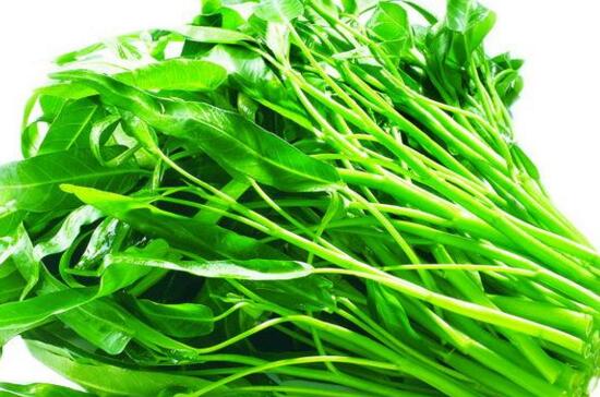 空心菜如何种植，详解空心菜的种植办法