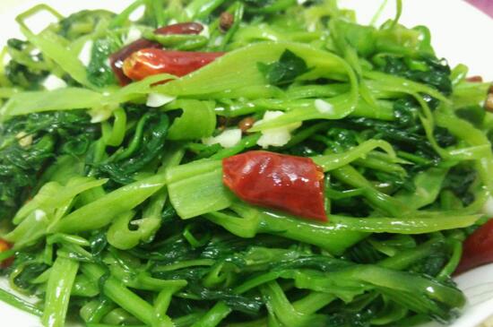 空心菜如何种植，详解空心菜的种植办法