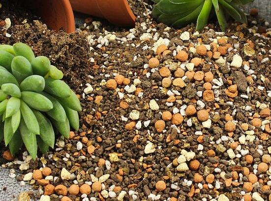 自制多肉营养土的办法，保持透气透水/固根性和有机质