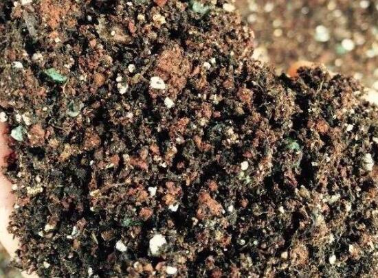 自制多肉营养土的办法，保持透气透水/固根性和有机质