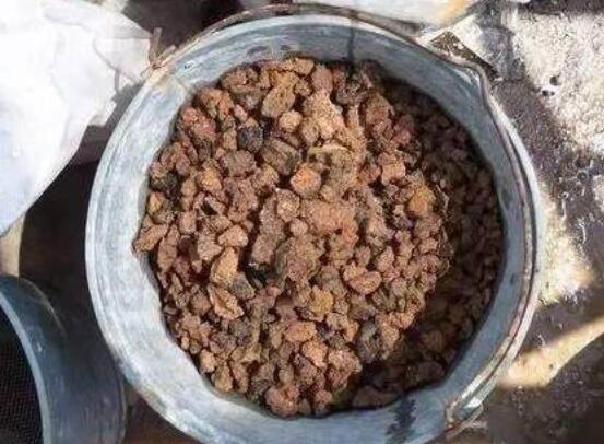 自制多肉营养土的办法，保持透气透水/固根性和有机质