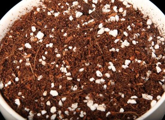 自制多肉营养土的办法，保持透气透水/固根性和有机质