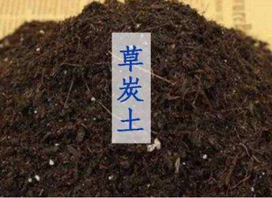 草炭土是什么，具体介绍草炭土的种类以及作用