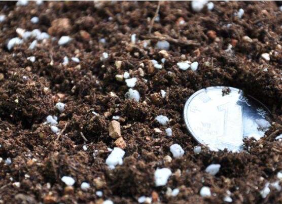 草炭土是什么，具体介绍草炭土的种类以及作用