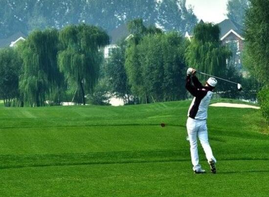 草炭土是什么，具体介绍草炭土的种类以及作用