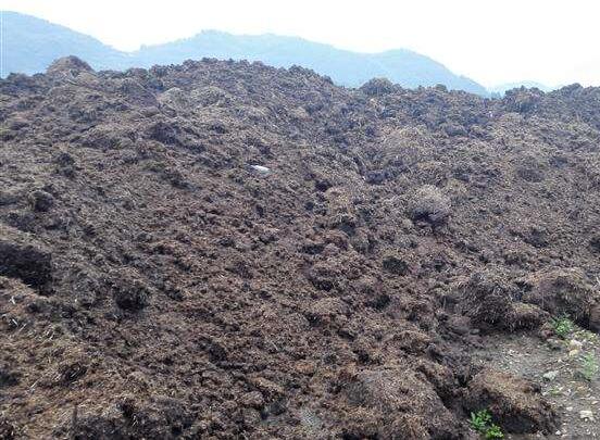 草炭土是什么，具体介绍草炭土的种类以及作用