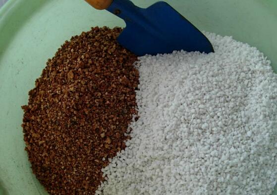 非洲堇的换盆办法，选盆选土修根换盆四步处理