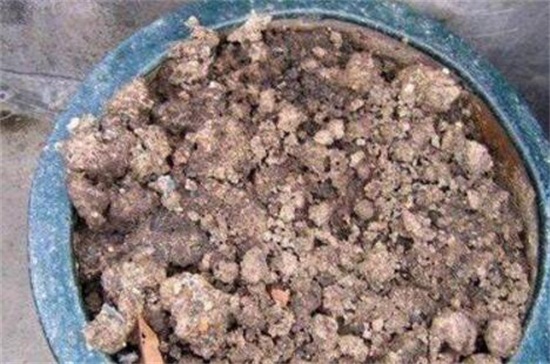 树皮发酵最简单的办法，详解松树皮与柳树皮发酵办法