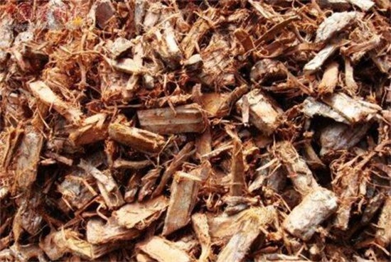 树皮发酵最简单的办法，详解松树皮与柳树皮发酵办法