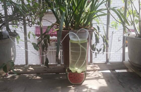 复合肥浇花比例是多少，复合肥浇花的办法与作用