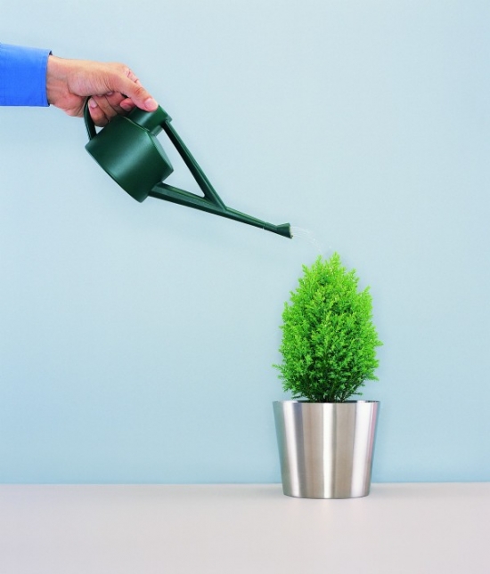 淘米水浇花留意事项 淘米水浇花留意事项