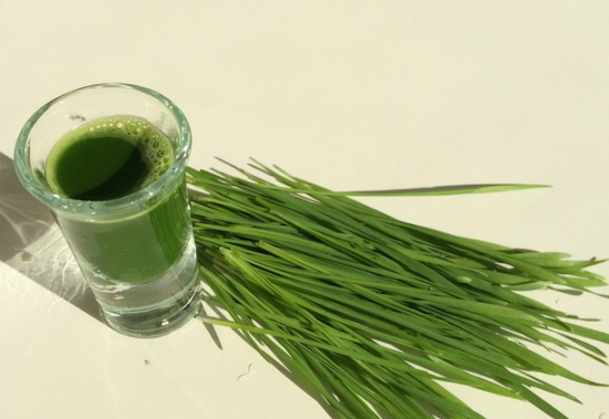 小麦草如何食用：小麦草榨汁最健康
