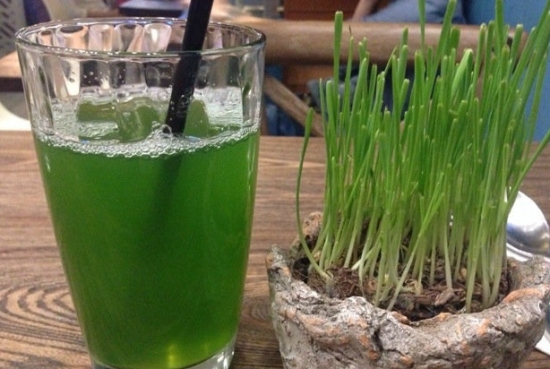 小麦草如何食用：小麦草榨汁最健康