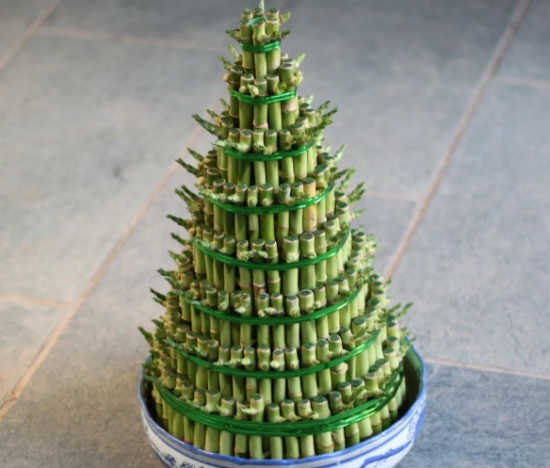 开运竹叶子发黄如何办：散光环境常换水