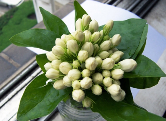 如何用花卉装饰居室