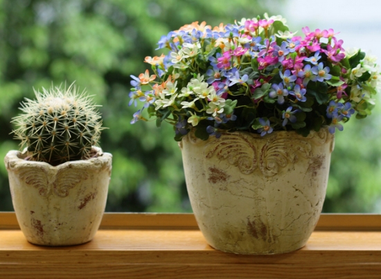 阳台盆花应如何度夏