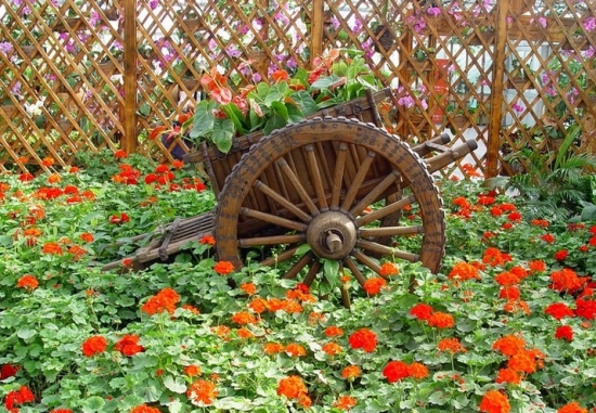 养花为何不能使用生肥