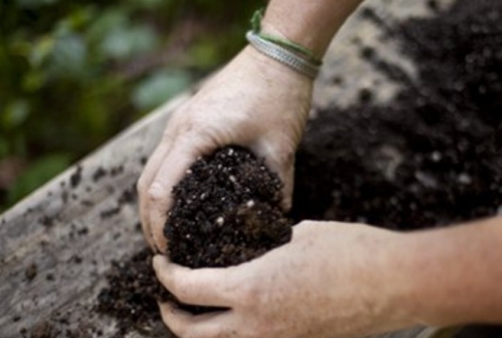 盆花宜选如何的土壤