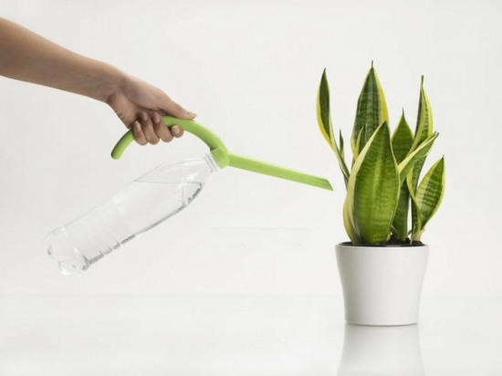 给花卉浇水应留意些什么