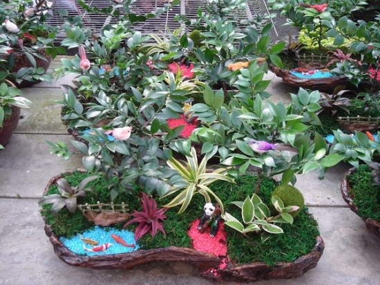 如何设计室内组合盆栽