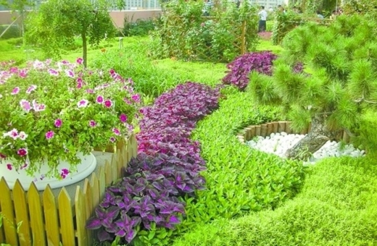 屋顶养花有何益处