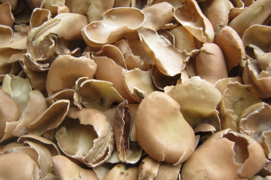 蚕豆壳 蚕豆壳水可否浇花