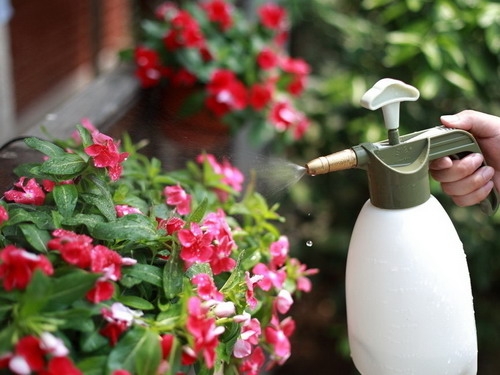 如何给阳台养的花增加空气湿度