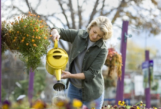 为何浇水是养花的关键