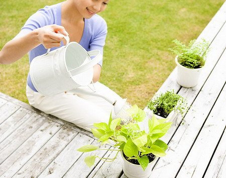 为何浇水不能一次过量