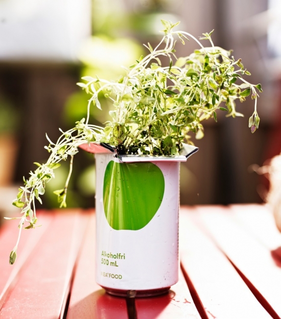 阳台的植物 阳台的温度与养花有何关系