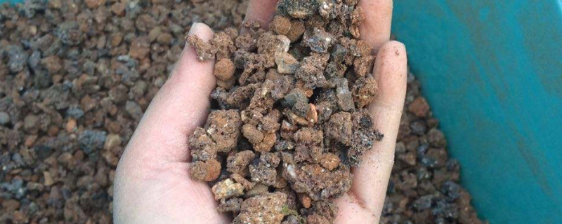 煤球渣养多肉如何配土