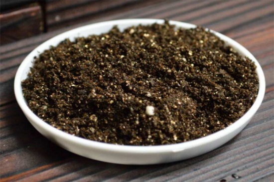 霜之朝烂根如何办，切除烂根并多菌灵灌根