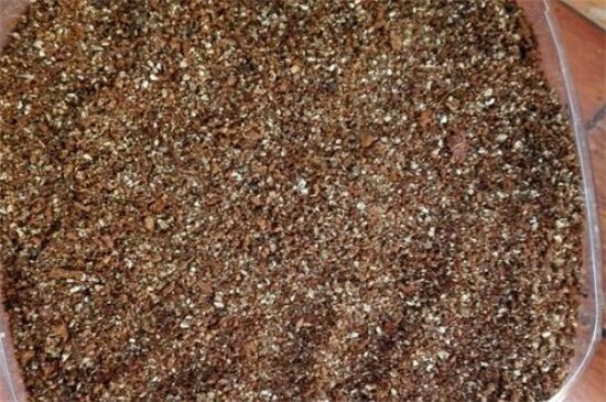 玉露种子的种植办法，5个步骤简单种活玉露