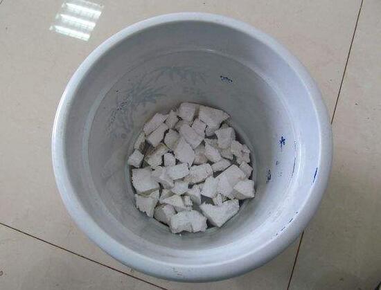 灿烂法师多肉如何养，资深花友教会养殖灿烂法师多肉